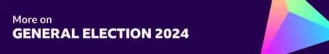 More on the 2024 general election